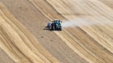 Knochentrocken: Beim Striegeln auf einem abgeernteten Getreidefeld zieht ein Traktor eine Staubwolke hinter sich her. 