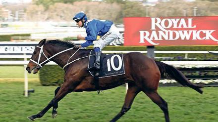 Erfolgsduo. Winx und Jockey Bowman sind zusammen unschlagbar. 