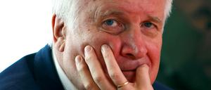 Bundesinnenminister Horst Seehofer (CSU)
