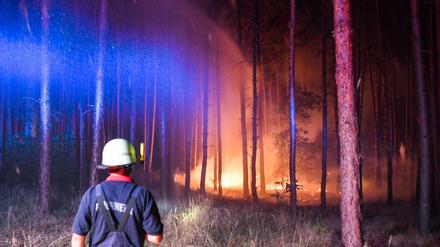Waldbrand in Brandenburg