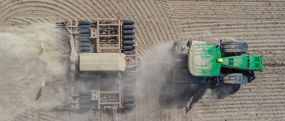 Ein Landwirt in Brandenburg drillt Rapssaat in den trocken Boden.