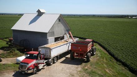 Ein vollbeladener Anhänger auf einer Soja-Farm im Städchen Buda, im Bundesstaat Illinois. China ist der weltgrößte Importeur von Soja, erhebt jetzt aber Zölle auf Bohnen aus den USA.