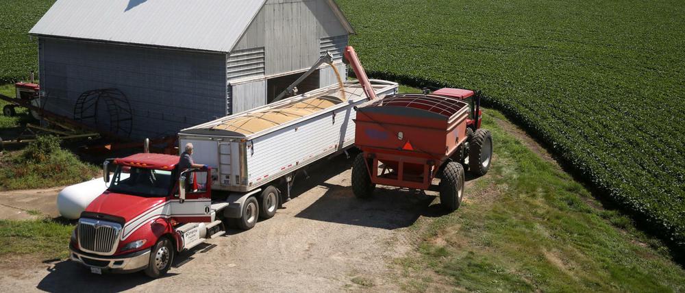 Ein vollbeladener Anhänger auf einer Soja-Farm im Städchen Buda, im Bundesstaat Illinois. China ist der weltgrößte Importeur von Soja, erhebt jetzt aber Zölle auf Bohnen aus den USA.