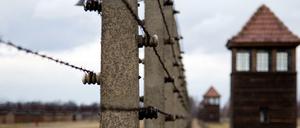 Der Zaun und die Wachtürme des Konzentrationslagers Auschwitz-Birkenau. 
