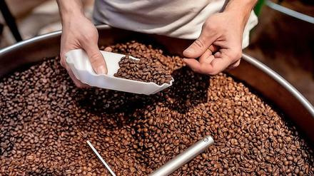 In Berlin hat sich eine junge Szene ambitionierter Kaffee-Spezialisten entwickelt. 