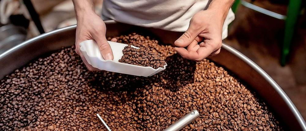In Berlin hat sich eine junge Szene ambitionierter Kaffee-Spezialisten entwickelt.