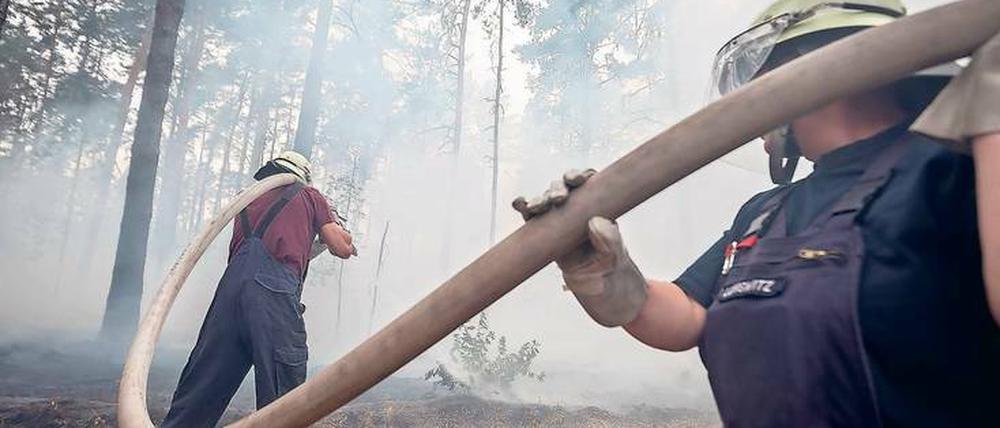 Eine riesige Rauchwolke steigt über dem Waldgebiet auf, in dem rund 600 Feuerwehrmänner gegen die Flammen kämpften.