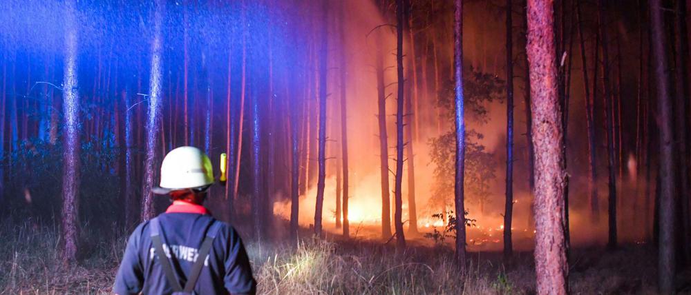 Die Feuerwehr versucht einen brennenden Wald nahe Klausdorf zu löschen.