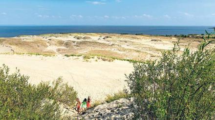 Weißer Strand, tiefblaues Meer. Sanddünen bei Nida. Der Naturpark Kurische Nehrung gehört zum Unesco-Weltnaturerbe.  