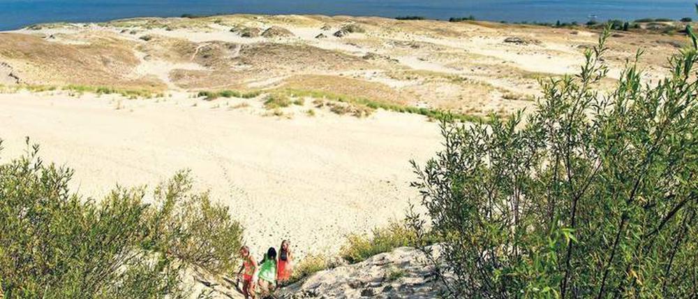 Weißer Strand, tiefblaues Meer. Sanddünen bei Nida. Der Naturpark Kurische Nehrung gehört zum Unesco-Weltnaturerbe.