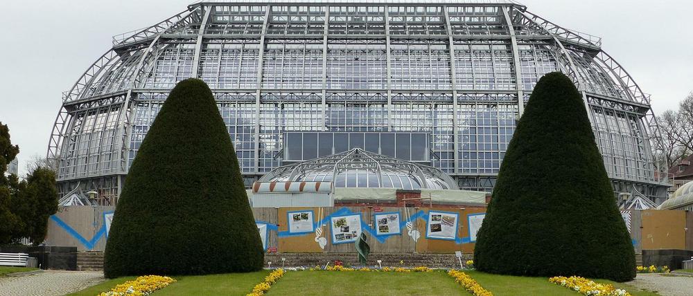 Das Victoriahaus befindet sich direkt vor dem Großen Tropenhaus im Botanischen Garten in Dahlem