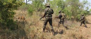 Wildhüter suchen im Kruger-Nationalpark nach Wilderern.