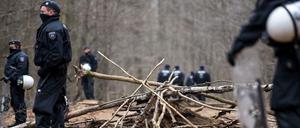 Polizisten stehen neben einer Barrikade auf einem Waldweg im Hambacher Forst. 