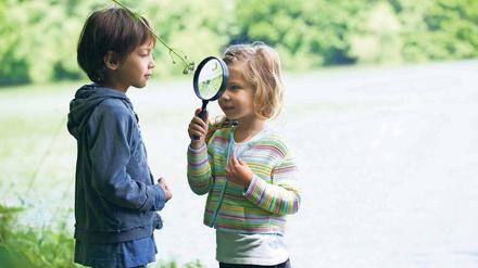 Das Leben im Blick. Wenn Kinder die Natur erkunden, durchlaufen sie einen Prozess der Weltaneignung, der mit der sinnlichen Wahrnehmung der Wirklichkeit einhergeht. 
