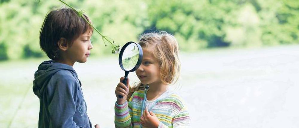 Das Leben im Blick. Wenn Kinder die Natur erkunden, durchlaufen sie einen Prozess der Weltaneignung, der mit der sinnlichen Wahrnehmung der Wirklichkeit einhergeht. 