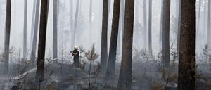 Feuerwehrmänner bekämpfen den Waldbrand rund um die Uhr.