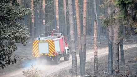 Bei Treuenbrietzen wurde die Zahl der Feuerwehrleute am Montag auf 250 reduziert. 