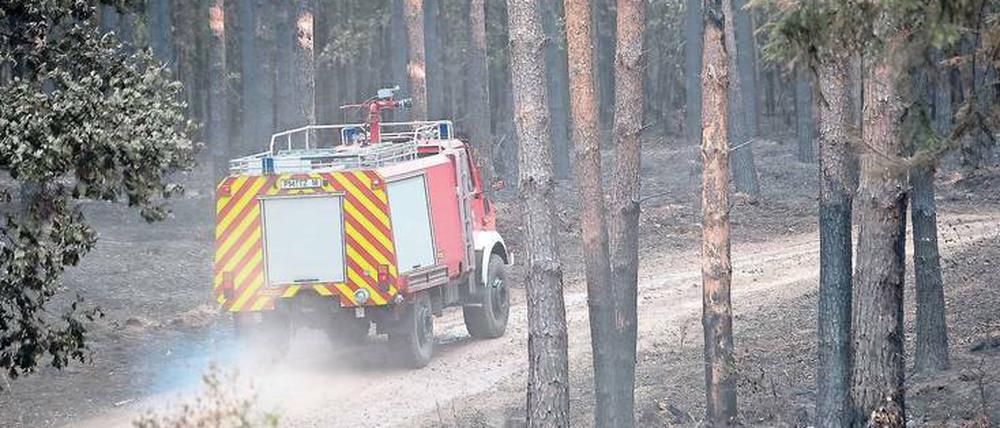 Bei Treuenbrietzen wurde die Zahl der Feuerwehrleute am Montag auf 250 reduziert.