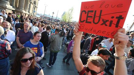 Demonstration für die Central European University in Budapest.