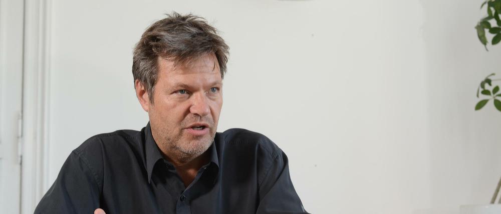Robert Habeck, neben Annalena Baerbock Bundesvorsitzender der Grünen