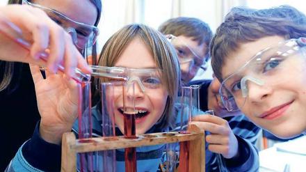 Alle Potentiale entwickeln - das erhoffen sich viele Eltern von den grundständigen Klassen. 