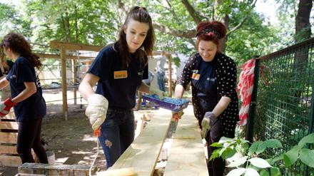 Mitarbeiter von Scout24 bei ihrem "Social Day".