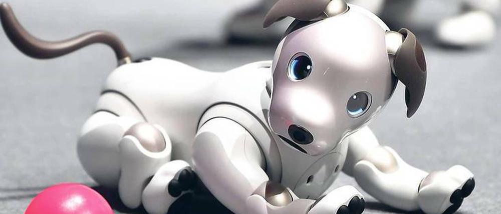 Macht Männchen aber keine Häufchen. Der Roboterhund Aido von Sony kostet 3000 Euro.