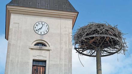 Forschung und Leere. In Lebus im Kreis Märkisch-Oderland ist es einfacher, die Kirche im Dorf zu behalten, als die Störche. Derzeit läuft die Auswertung der Daten für 2018. Dass es in Brandenburg eher ein schlechtes Storchenjahr war, ist schon jetzt sicher. 