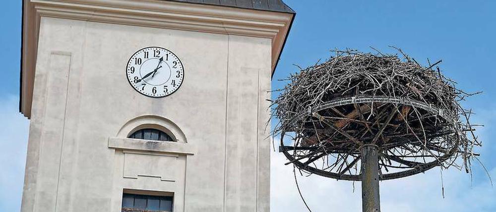 Forschung und Leere. In Lebus im Kreis Märkisch-Oderland ist es einfacher, die Kirche im Dorf zu behalten, als die Störche. Derzeit läuft die Auswertung der Daten für 2018. Dass es in Brandenburg eher ein schlechtes Storchenjahr war, ist schon jetzt sicher.