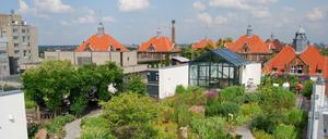 Auf dem Dach der Wiegmann-Klinik des DRK in Westend befindet sich ein kleiner Park.