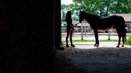 Tatort Reitstall: Bei Turnieren und in privaten Ställen soll es zu Vandalismus unter Alkoholeinfluss und sexuellen Übergriffen durch deutsche Nachwuchs-Springreiter gekommen sein.