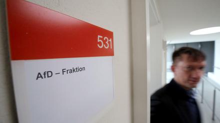 Ronald Gläser (AfD).
