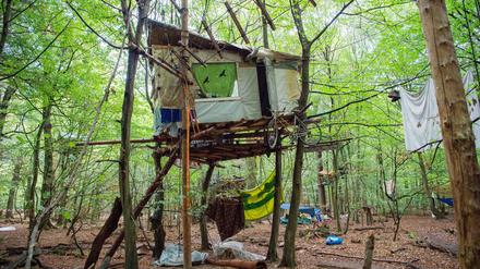 Aktivisten haben ein Baumhaus im Hambacher Forst gebaut. In dem Camp wird gegen die Rodung des Waldes demonstriert.