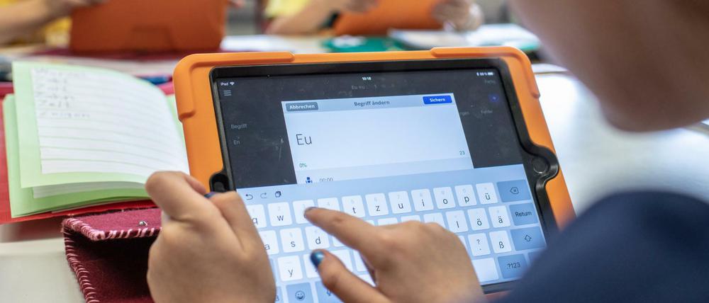 Gefördert werden soll beim Digitalpakt vor allem die Infrastruktur innerhalb der Schulen - wie etwa WLAN-Anbindung.