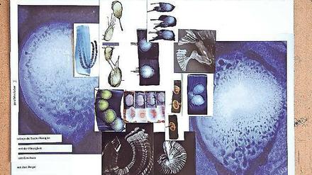 Zetteltraum. Eva-Maria Schöns Collage „Paralleles Labor“ (2018).