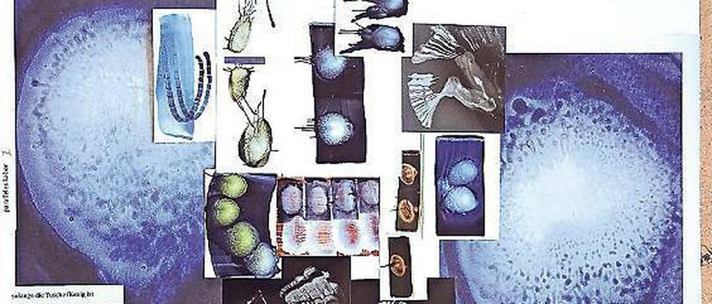 Zetteltraum. Eva-Maria Schöns Collage „Paralleles Labor“ (2018).