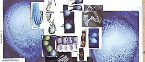 Zetteltraum. Eva-Maria Schöns Collage „Paralleles Labor“ (2018).