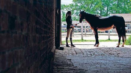 Obwohl Reiten im Breitensport deutlich weiblich geprägt ist, sind die Führungspositionen bei Züchtern und Verbänden meist mit Männern besetzt.