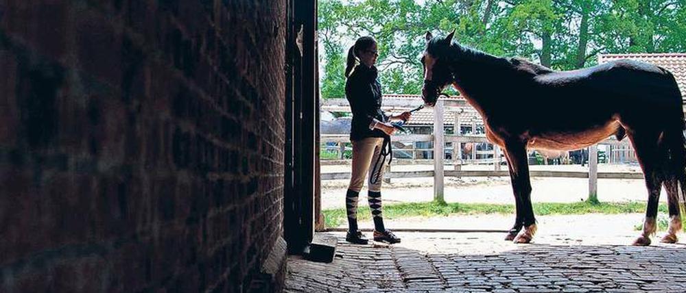 Obwohl Reiten im Breitensport deutlich weiblich geprägt ist, sind die Führungspositionen bei Züchtern und Verbänden meist mit Männern besetzt.