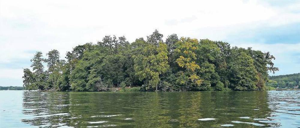Der Seddinwall ist von Legenden umrankt, die offenbar Franzosen von der Insel fernhalten.