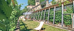 Am Winzerberg in Potsdam kann endlich wieder zur Weinverkostungen geladen werden.