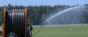 Erfolgreiche Landwirtschaft braucht viel Wasser. Der Verbrauch ließe sich mit einer fleischarmen Ernährungsweise drastisch reduzieren, haben Forscher errechnet.