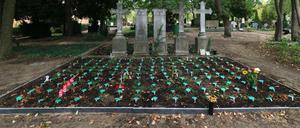 "Urnengrabfelder“, auf denen die ordnungsbehördlichen Bestattungen vollzogen werden, wie hier auf dem Alten Domfriedhof der St.-Hedwigs-Gemeinde in Mitte. Der Name steht auf einem sogenannten Merkpfahl aus grünem Plastik. Er wird in der Friedhofsgebührenordnung mit acht Euro ausgewiesen. 