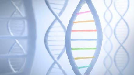 DNA 