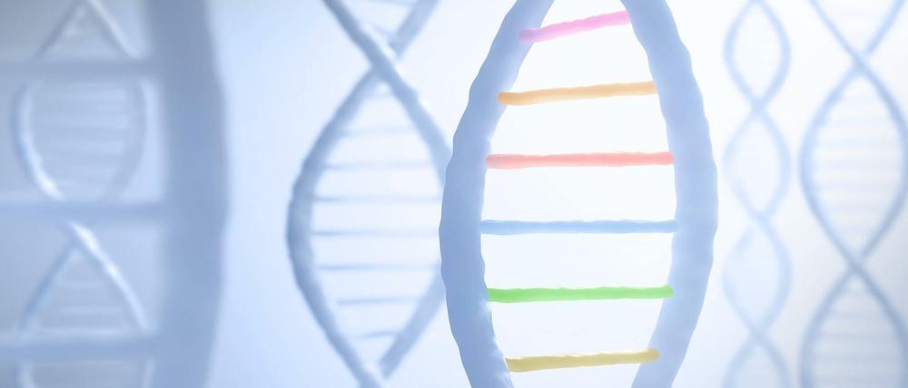 DNA 