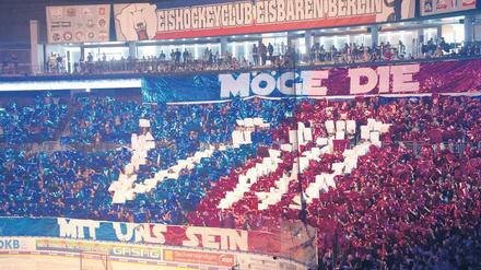 Teil acht der Titelsaga? Die Eisbären wollen wieder Geschichte schreiben. 