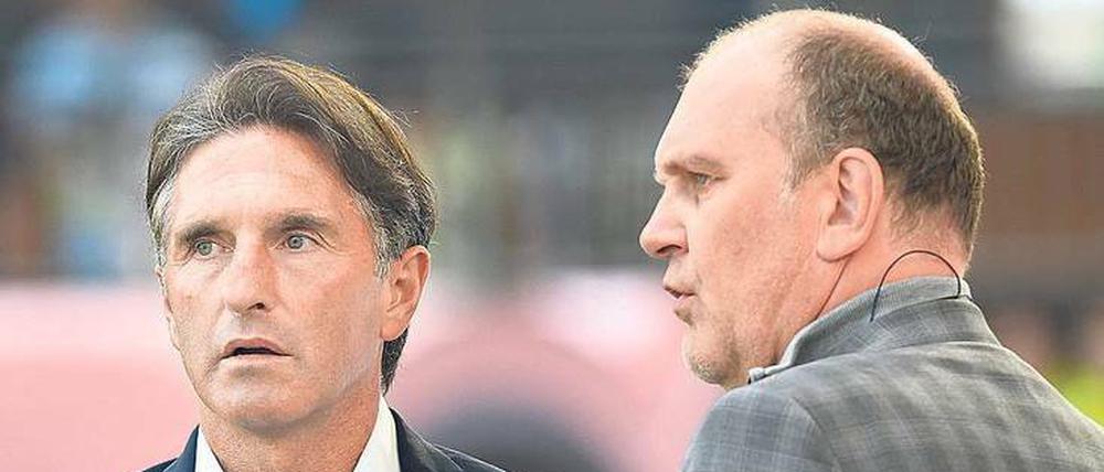 Eine Linie: Trainer Labbadia und Geschäftsführer Schmadtke.