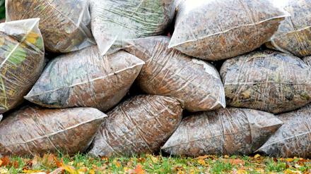 Transparente Plastiksäcke, gefüllt mit Herbstlaub.