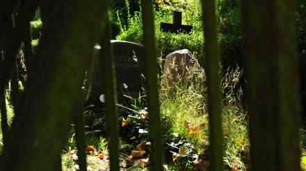 Georgen-Parochial-Friedhof II an der Landsberger Allee in Berlin-Friedrichshain.