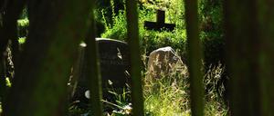 Georgen-Parochial-Friedhof II an der Landsberger Allee in Berlin-Friedrichshain.